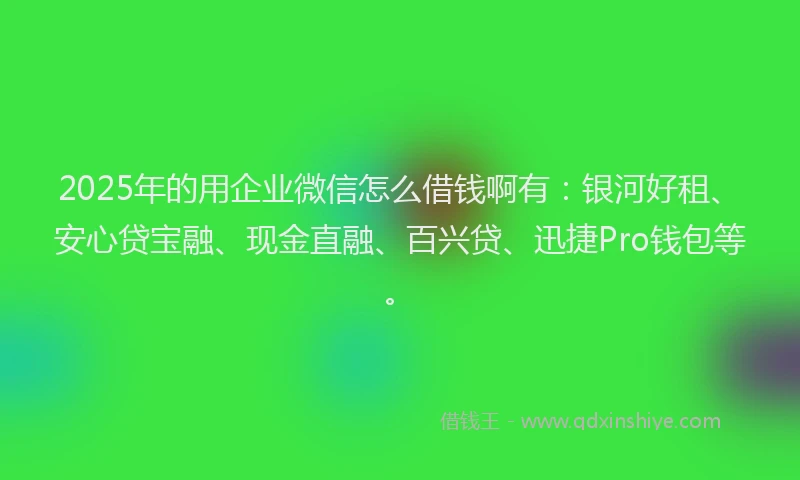 2025年的用企业微信怎么借钱啊有：银河好租、安心贷宝融、现金直融、百兴贷、迅捷Pro钱包等。