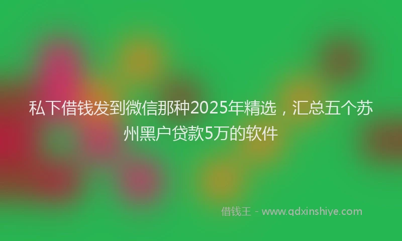 私下借钱发到微信那种2025年精选，汇总五个苏州黑户贷款5万的软件