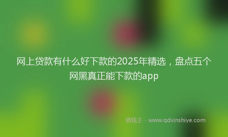 网上贷款有什么好下款的2025年精选，盘点五个网黑真正能下款的app