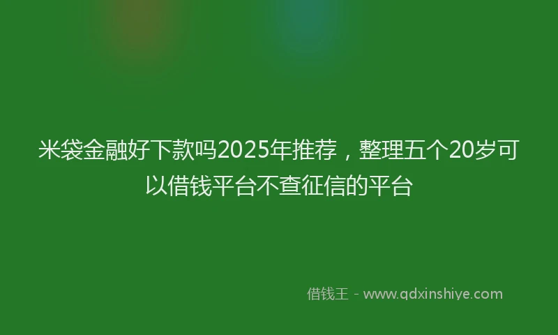 米袋金融好下款吗2025年推荐，整理五个20岁可以借钱平台不查征信的平台