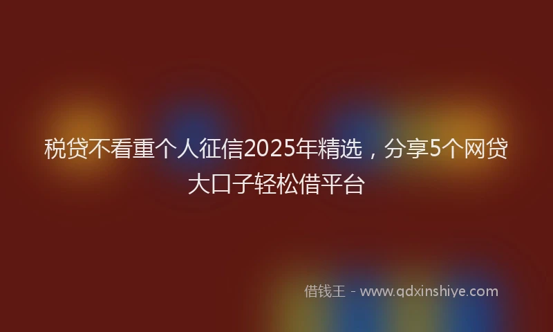 税贷不看重个人征信2025年精选，分享5个网贷大口子轻松借平台