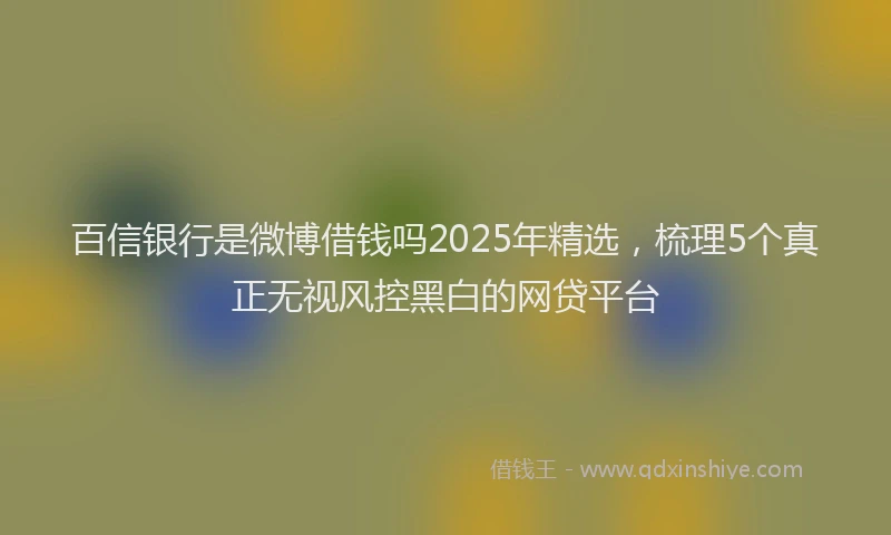 百信银行是微博借钱吗2025年精选，梳理5个真正无视风控黑白的网贷平台