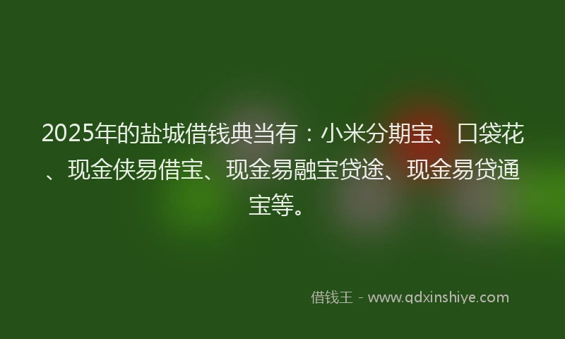 2025年的盐城借钱典当有：小米分期宝、口袋花、现金侠易借宝、现金易融宝贷途、现金易贷通宝等。