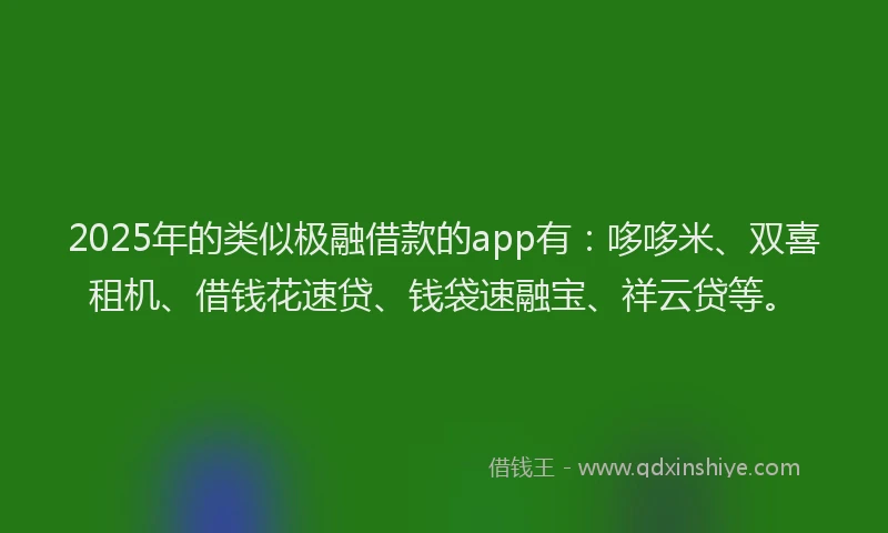 2025年的类似极融借款的app有：哆哆米、双喜租机、借钱花速贷、钱袋速融宝、祥云贷等。