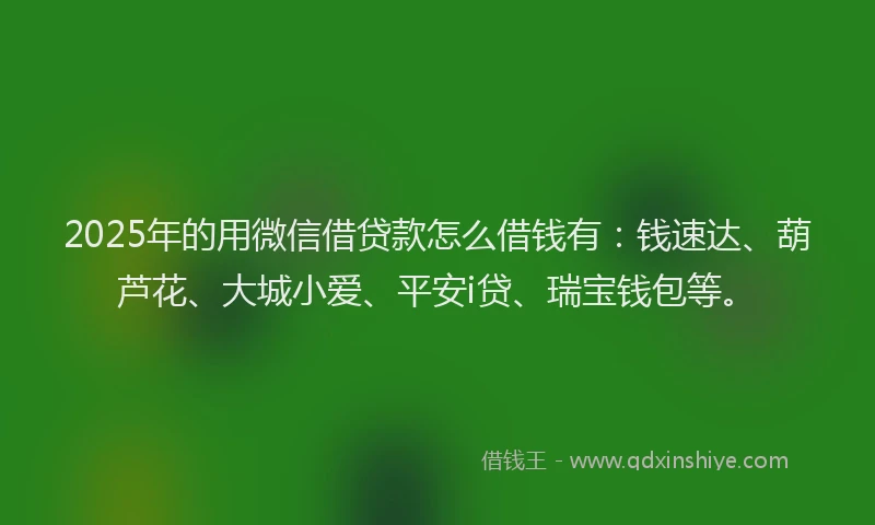 2025年的用微信借贷款怎么借钱有：钱速达、葫芦花、大城小爱、平安i贷、瑞宝钱包等。