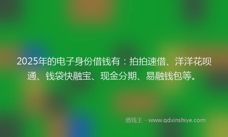 2025年的电子身份借钱有：拍拍速借、洋洋花呗通、钱袋快融宝、现金分期、易融钱包等。