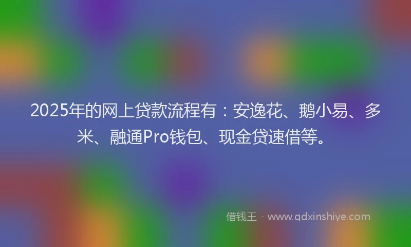 2025年的网上贷款流程有：安逸花、鹅小易、多米、融通Pro钱包、现金贷速借等。