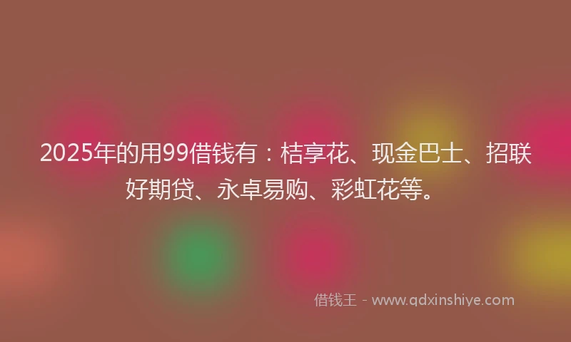 2025年的用99借钱有：桔享花、现金巴士、招联好期贷、永卓易购、彩虹花等。