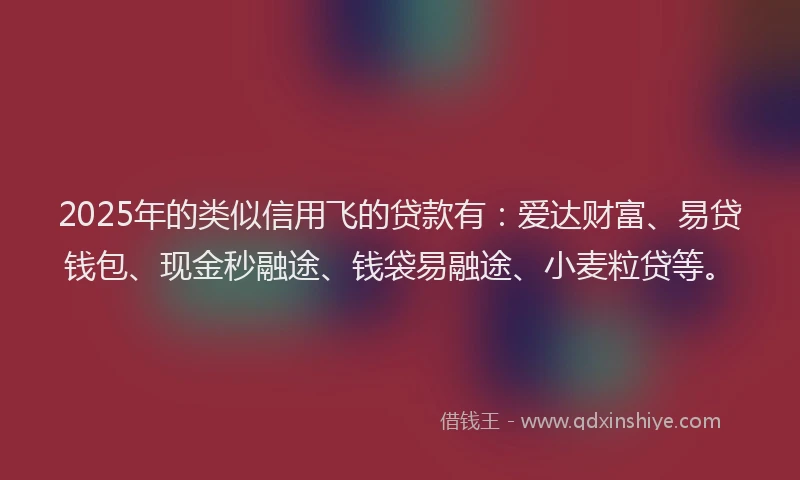 2025年的类似信用飞的贷款有：爱达财富、易贷钱包、现金秒融途、钱袋易融途、小麦粒贷等。