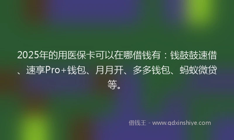 2025年的用医保卡可以在哪借钱有：钱鼓鼓速借、速享Pro+钱包、月月开、多多钱包、蚂蚁微贷等。