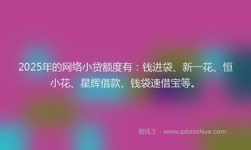 2025年的网络小贷额度有：钱进袋、新一花、恒小花、星辉借款、钱袋速借宝等。