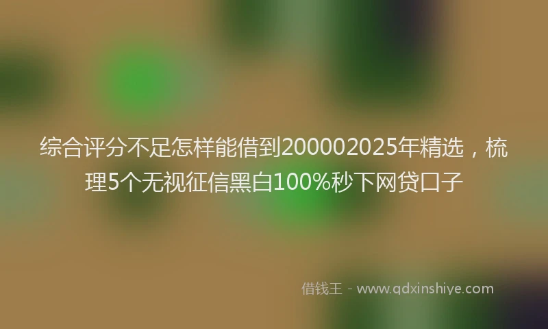 综合评分不足怎样能借到200002025年精选，梳理5个无视征信黑白100%秒下网贷口子