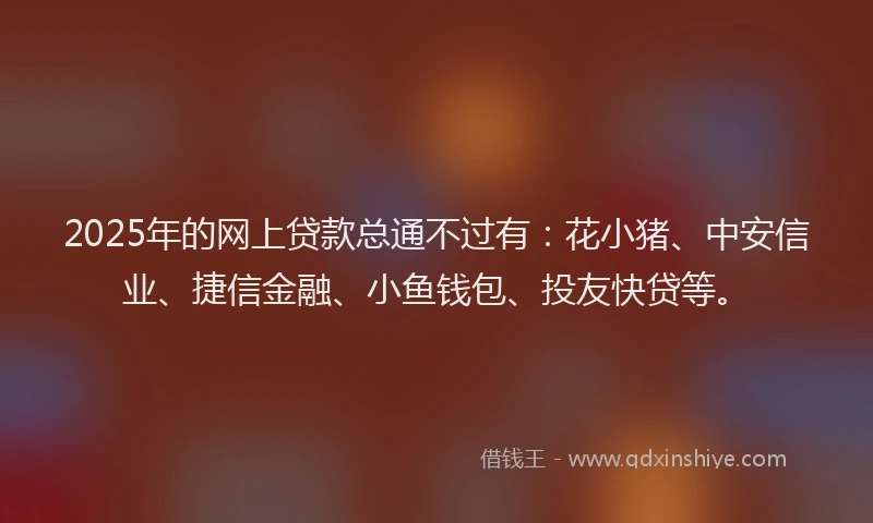 2025年的网上贷款总通不过有：花小猪、中安信业、捷信金融、小鱼钱包、投友快贷等。