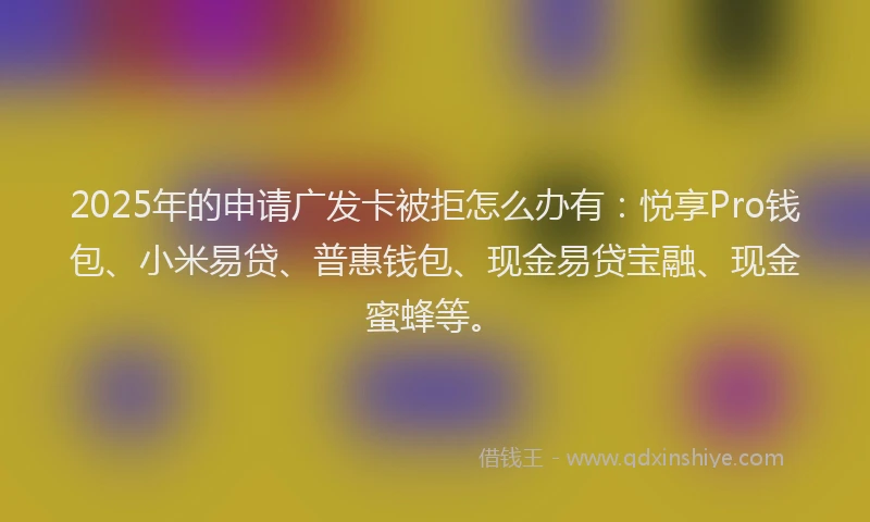 2025年的申请广发卡被拒怎么办有：悦享Pro钱包、小米易贷、普惠钱包、现金易贷宝融、现金蜜蜂等。