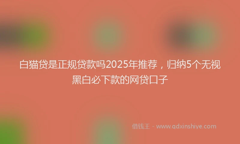 白猫贷是正规贷款吗2025年推荐，归纳5个无视黑白必下款的网贷口子
