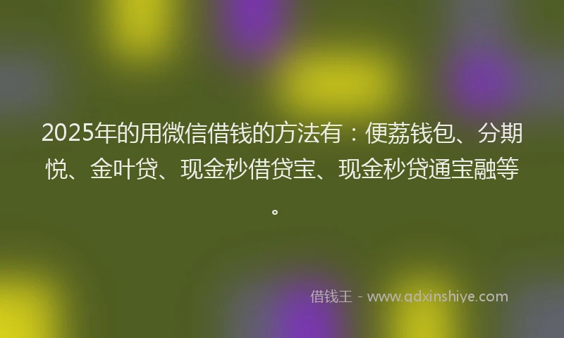 2025年的用微信借钱的方法有：便荔钱包、分期悦、金叶贷、现金秒借贷宝、现金秒贷通宝融等。