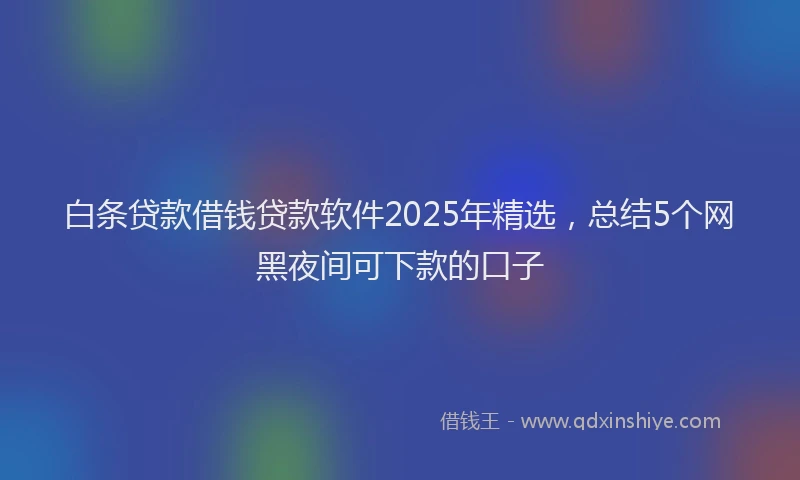 白条贷款借钱贷款软件2025年精选，总结5个网黑夜间可下款的口子