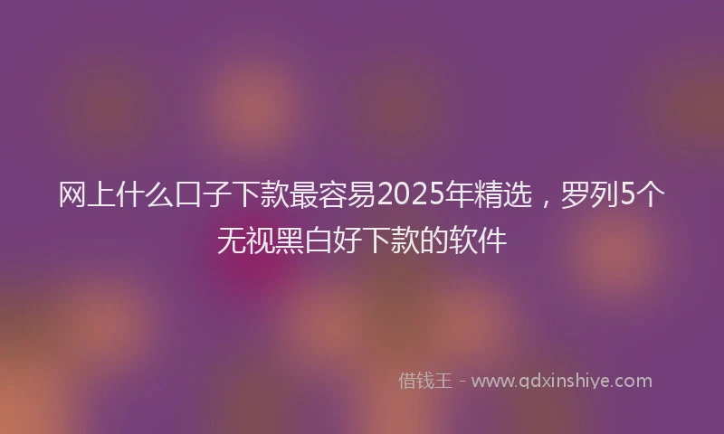 网上什么口子下款最容易2025年精选，罗列5个无视黑白好下款的软件