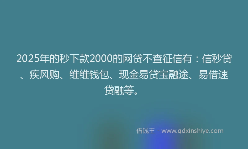 2025年的秒下款2000的网贷不查征信有：信秒贷、疾风购、维维钱包、现金易贷宝融途、易借速贷融等。