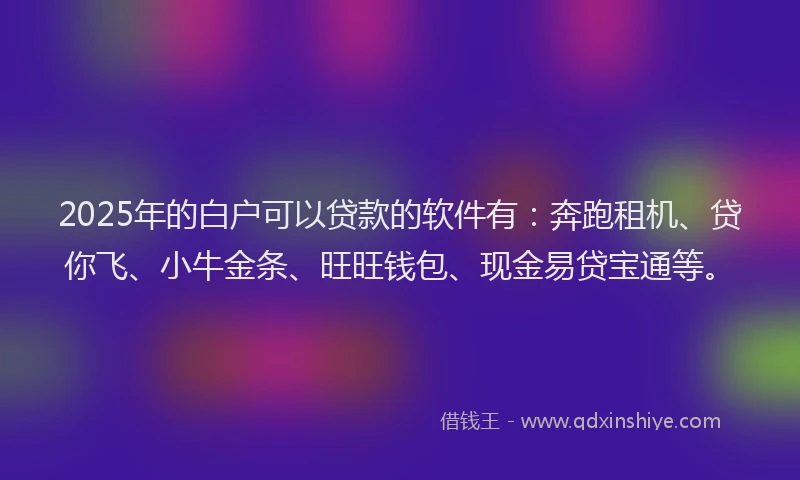 2025年的白户可以贷款的软件有：奔跑租机、贷你飞、小牛金条、旺旺钱包、现金易贷宝通等。