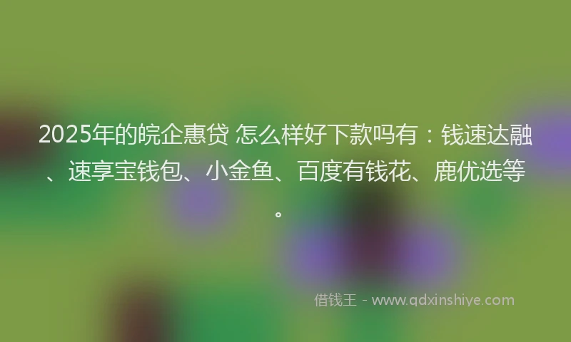 2025年的皖企惠贷 怎么样好下款吗有：钱速达融、速享宝钱包、小金鱼、百度有钱花、鹿优选等。