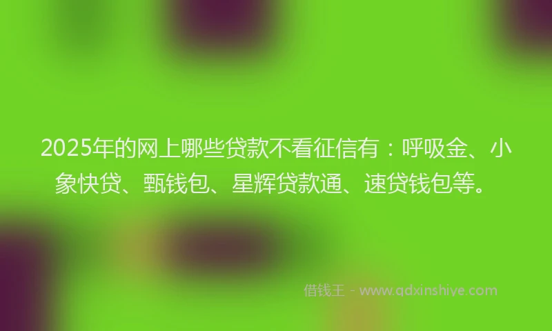 2025年的网上哪些贷款不看征信有：呼吸金、小象快贷、甄钱包、星辉贷款通、速贷钱包等。