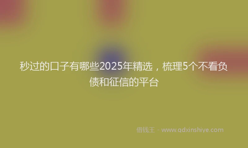 秒过的口子有哪些2025年精选，梳理5个不看负债和征信的平台