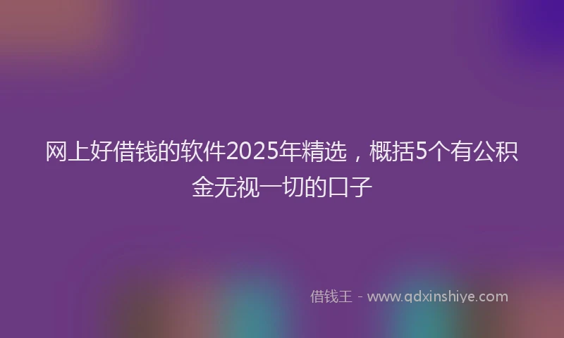 网上好借钱的软件2025年精选，概括5个有公积金无视一切的口子