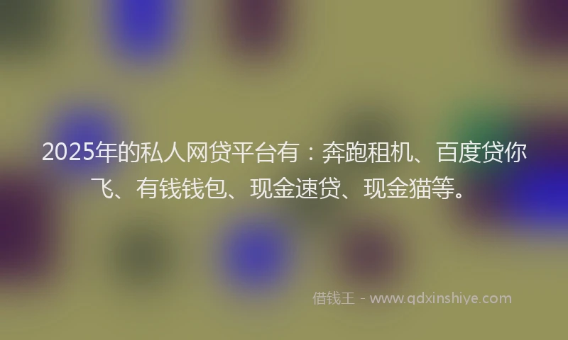2025年的私人网贷平台有：奔跑租机、百度贷你飞、有钱钱包、现金速贷、现金猫等。
