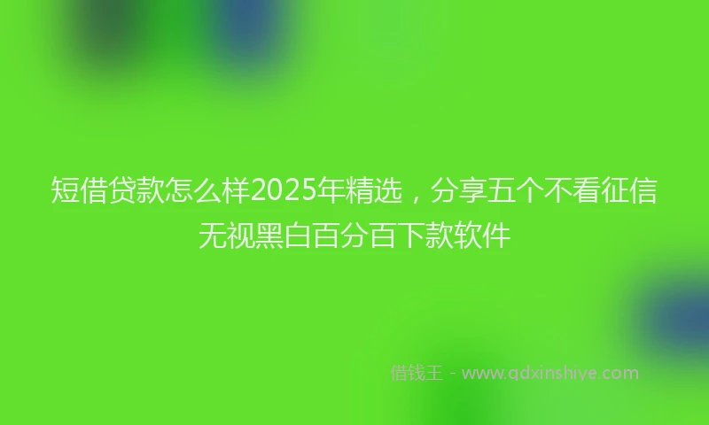 短借贷款怎么样2025年精选，分享五个不看征信无视黑白百分百下款软件
