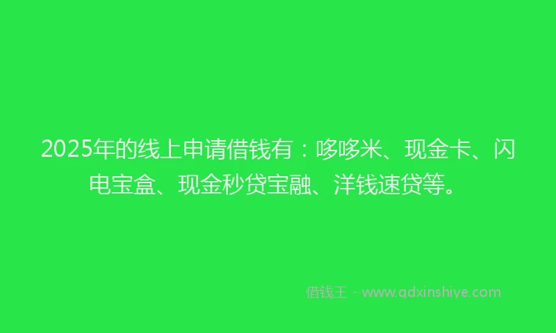 2025年的线上申请借钱有：哆哆米、现金卡、闪电宝盒、现金秒贷宝融、洋钱速贷等。