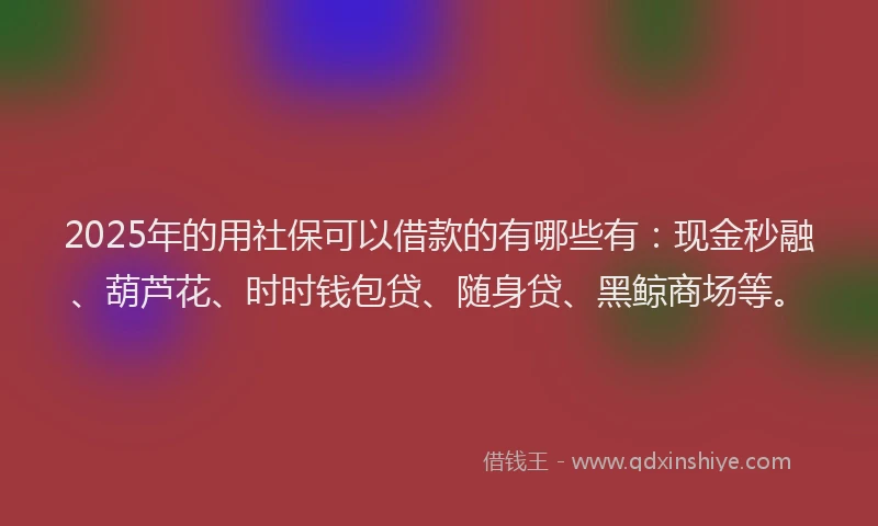 2025年的用社保可以借款的有哪些有：现金秒融、葫芦花、时时钱包贷、随身贷、黑鲸商场等。