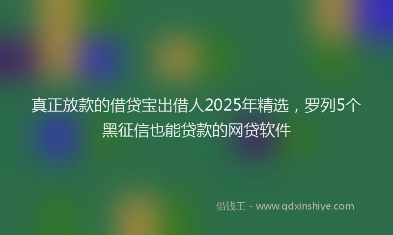 真正放款的借贷宝出借人2025年精选，罗列5个黑征信也能贷款的网贷软件