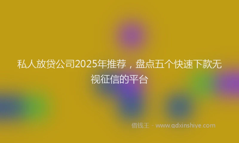 私人放贷公司2025年推荐，盘点五个快速下款无视征信的平台