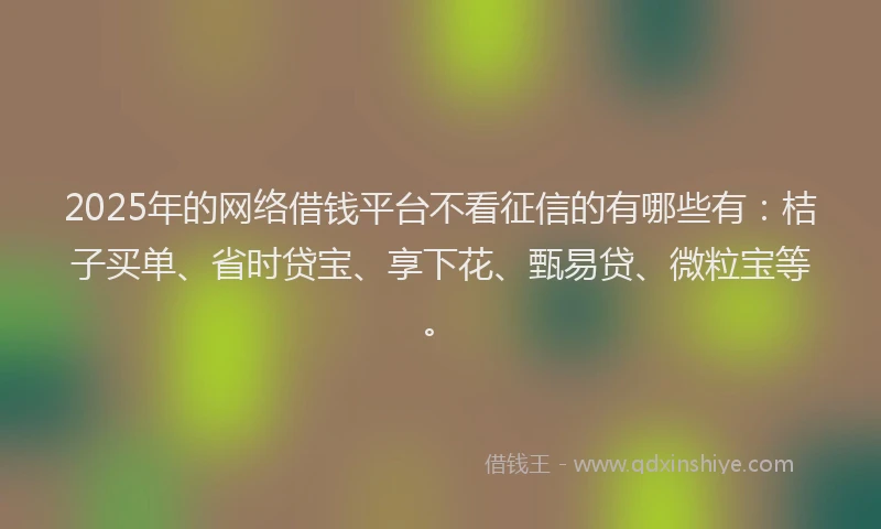 2025年的网络借钱平台不看征信的有哪些有：桔子买单、省时贷宝、享下花、甄易贷、微粒宝等。
