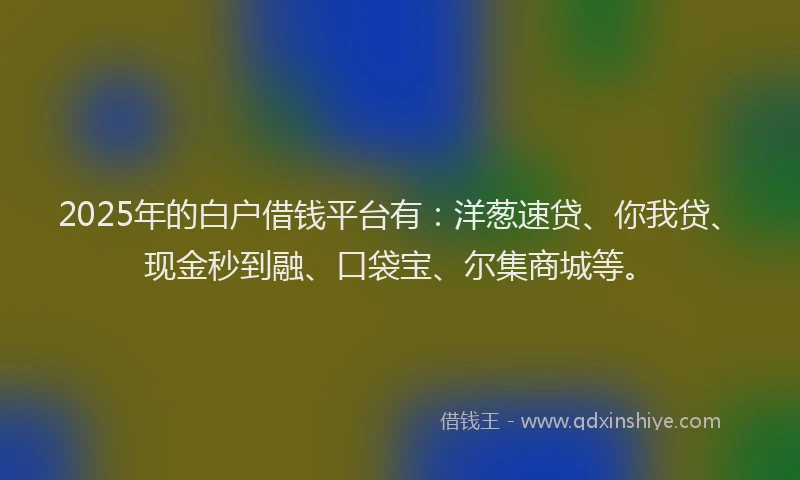 2025年的白户借钱平台有：洋葱速贷、你我贷、现金秒到融、口袋宝、尔集商城等。