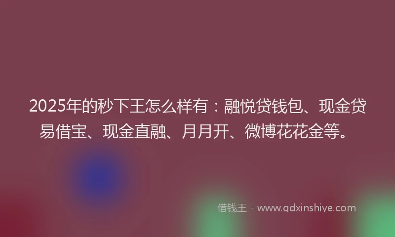 2025年的秒下王怎么样有：融悦贷钱包、现金贷易借宝、现金直融、月月开、微博花花金等。