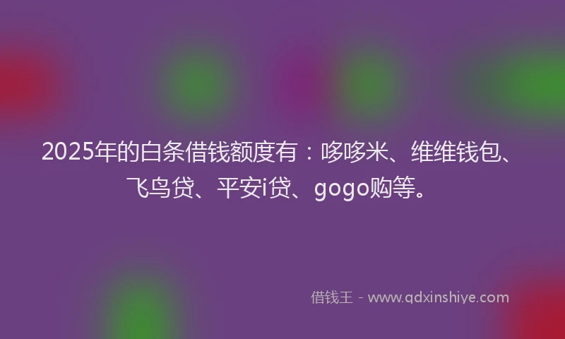 2025年的白条借钱额度有：哆哆米、维维钱包、飞鸟贷、平安i贷、gogo购等。