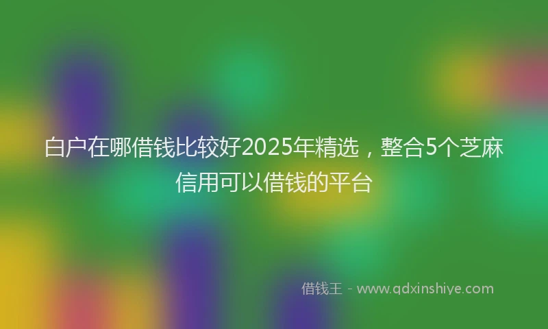 白户在哪借钱比较好2025年精选，整合5个芝麻信用可以借钱的平台