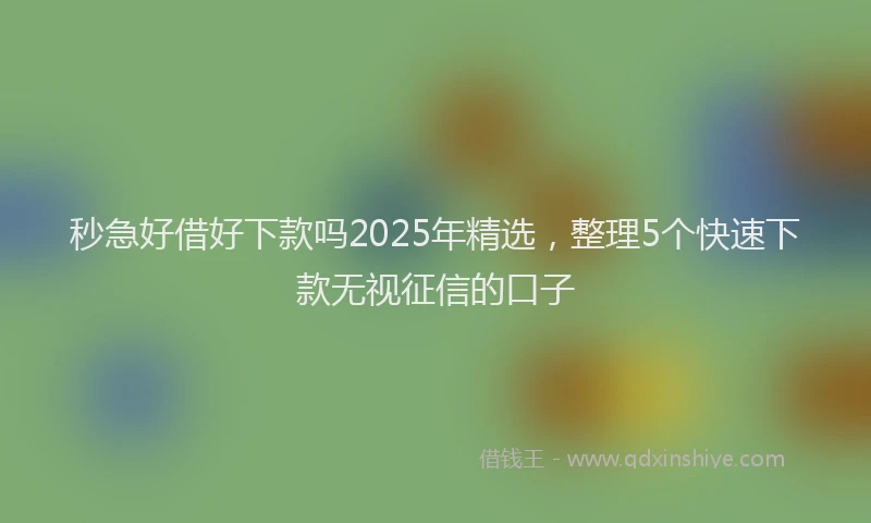 秒急好借好下款吗2025年精选，整理5个快速下款无视征信的口子