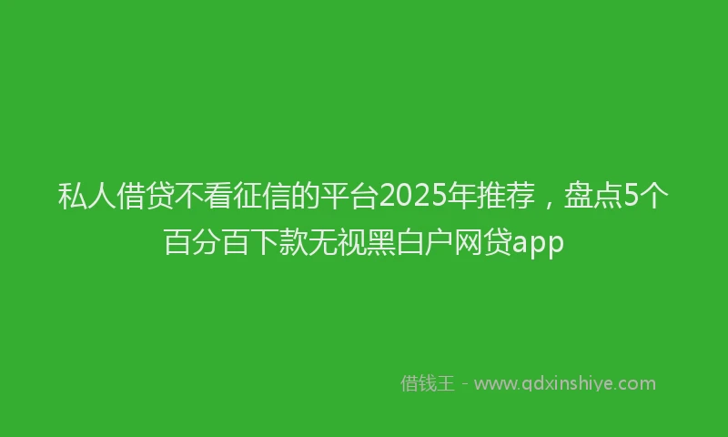 私人借贷不看征信的平台2025年推荐，盘点5个百分百下款无视黑白户网贷app