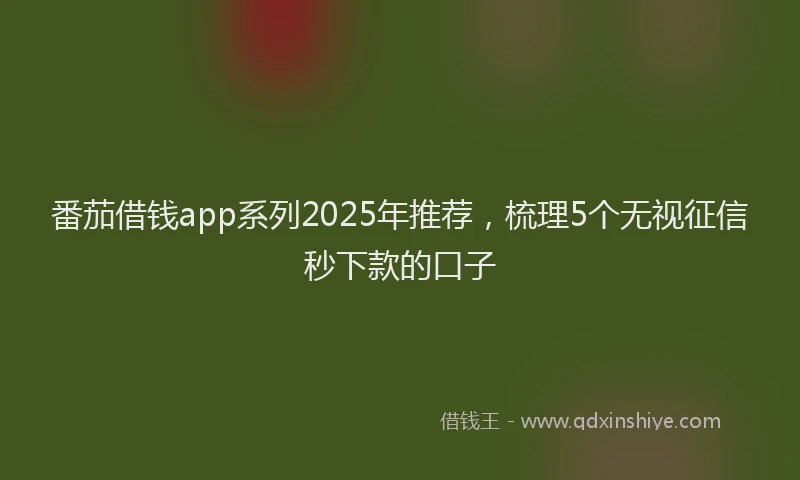 番茄借钱app系列2025年推荐，梳理5个无视征信秒下款的口子