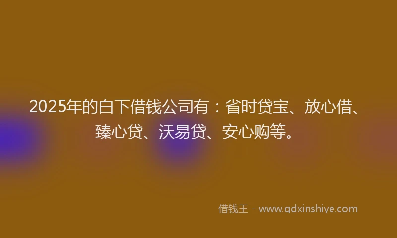 2025年的白下借钱公司有：省时贷宝、放心借、臻心贷、沃易贷、安心购等。