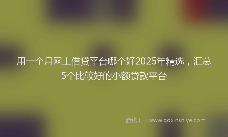 用一个月网上借贷平台哪个好2025年精选，汇总5个比较好的小额贷款平台