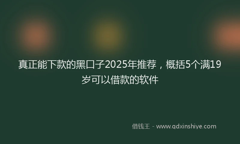真正能下款的黑口子2025年推荐，概括5个满19岁可以借款的软件