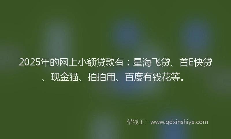 2025年的网上小额贷款有：星海飞贷、首E快贷、现金猫、拍拍用、百度有钱花等。