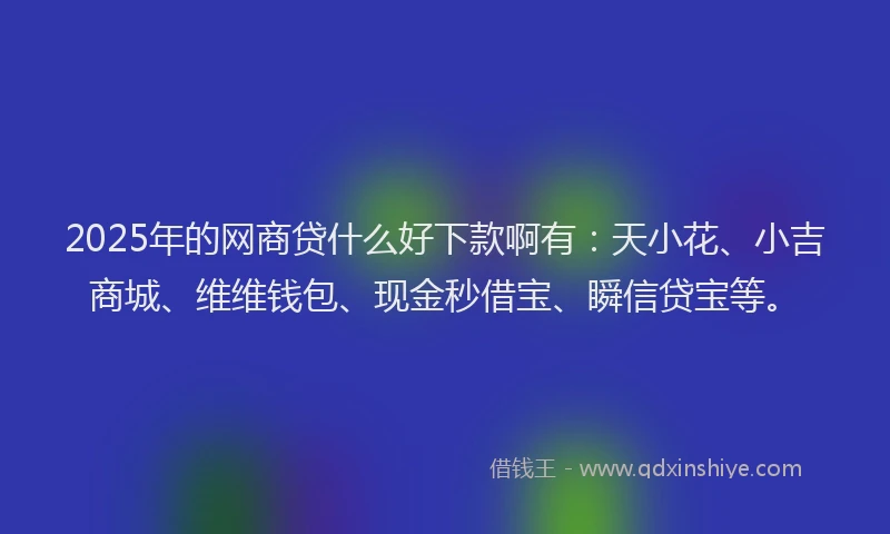 2025年的网商贷什么好下款啊有：天小花、小吉商城、维维钱包、现金秒借宝、瞬信贷宝等。