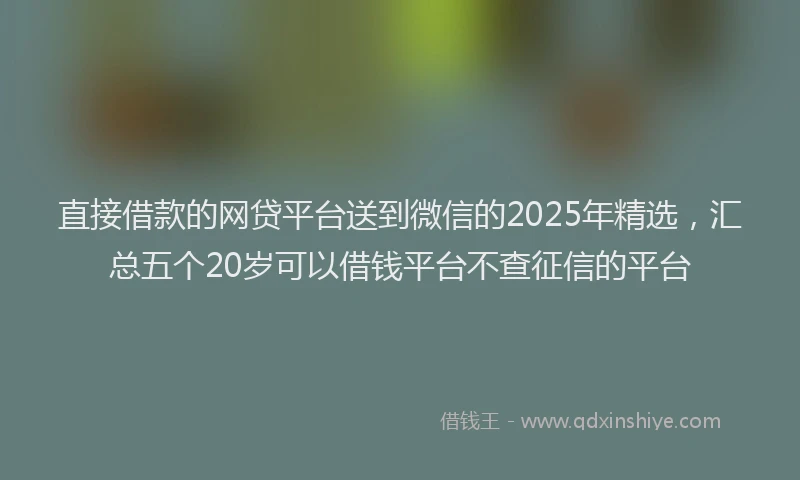 直接借款的网贷平台送到微信的2025年精选，汇总五个20岁可以借钱平台不查征信的平台