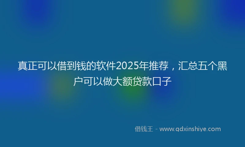 真正可以借到钱的软件2025年推荐，汇总五个黑户可以做大额贷款口子