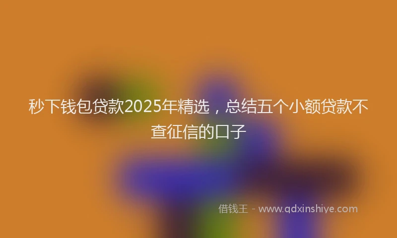 秒下钱包贷款2025年精选，总结五个小额贷款不查征信的口子